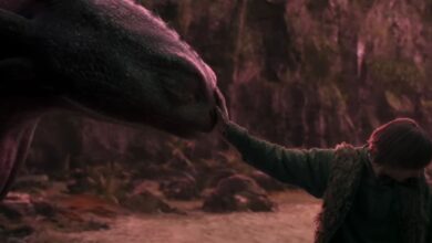 Live-Action de Como Treinar o Seu Dragão Surpreende com Efeitos e Fidelidade à Animação